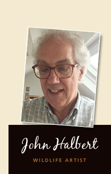 John Halbert