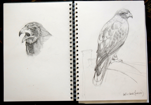 Sketchbook Sketchbook