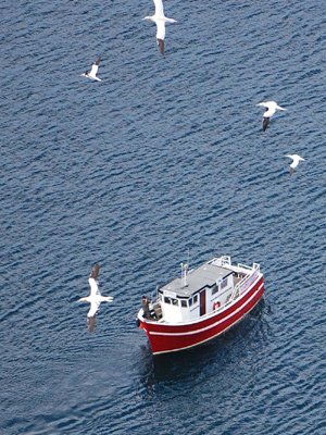 Boat Boat