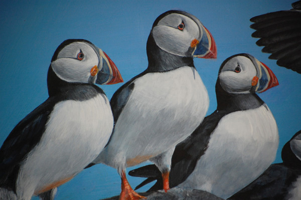 Puffins Puffins