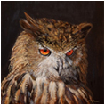 Eagle Owl