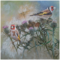 Goldfinches
